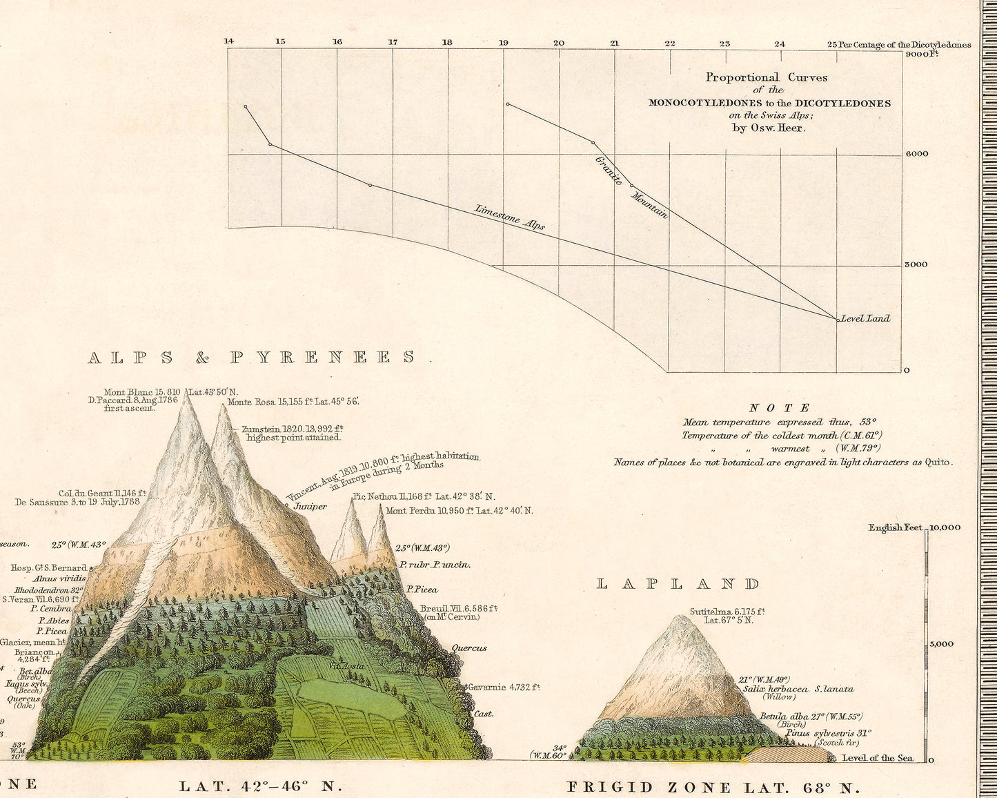 Outlines of BOTANICAL GEOGRAPHY Map by Alexander von Humboldt 1848