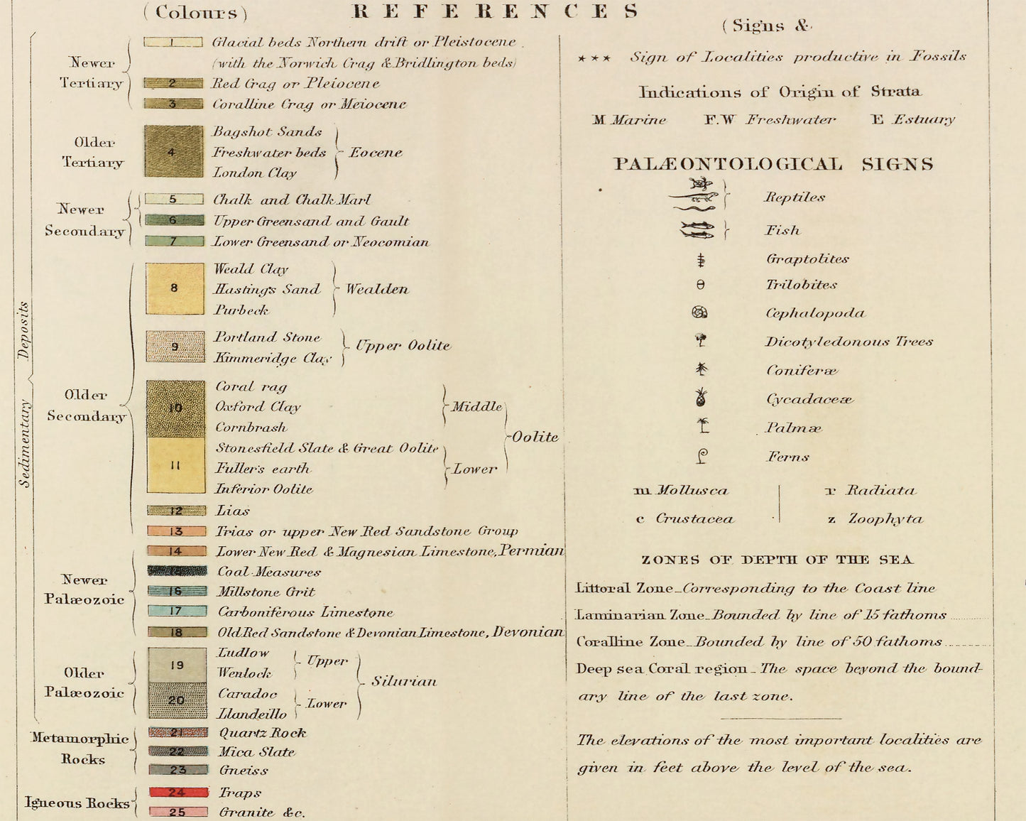 GEOLOGICAL & PALAEONTOLOGICAL W and A Johnston Fossils Dinosaurs