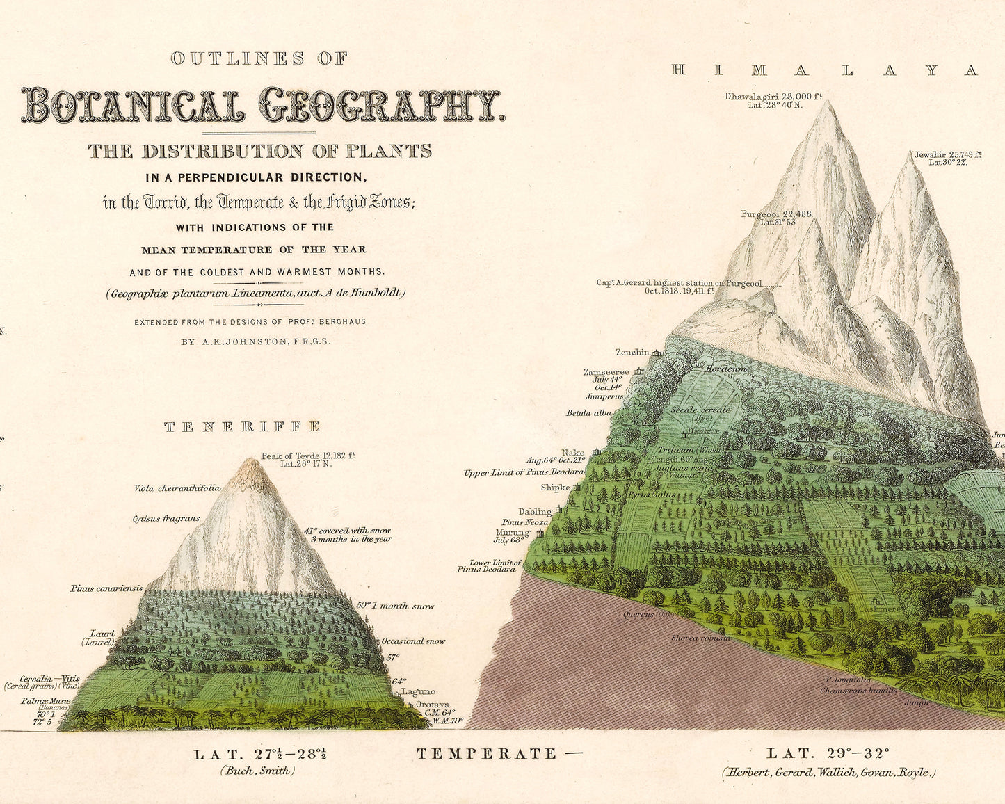 Outlines of BOTANICAL GEOGRAPHY Map by Alexander von Humboldt 1848