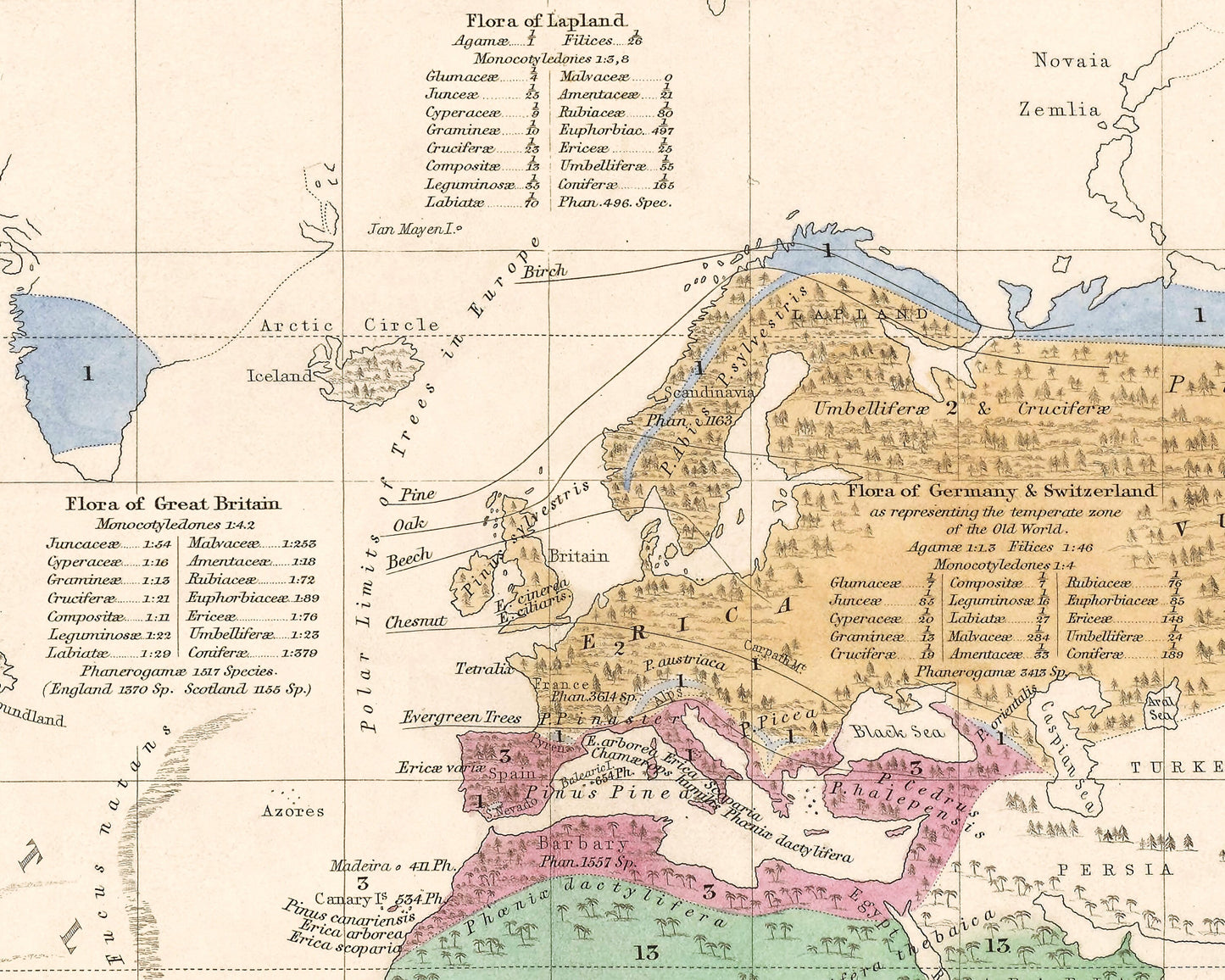 Outlines of BOTANICAL GEOGRAPHY Map by Alexander von Humboldt 1848
