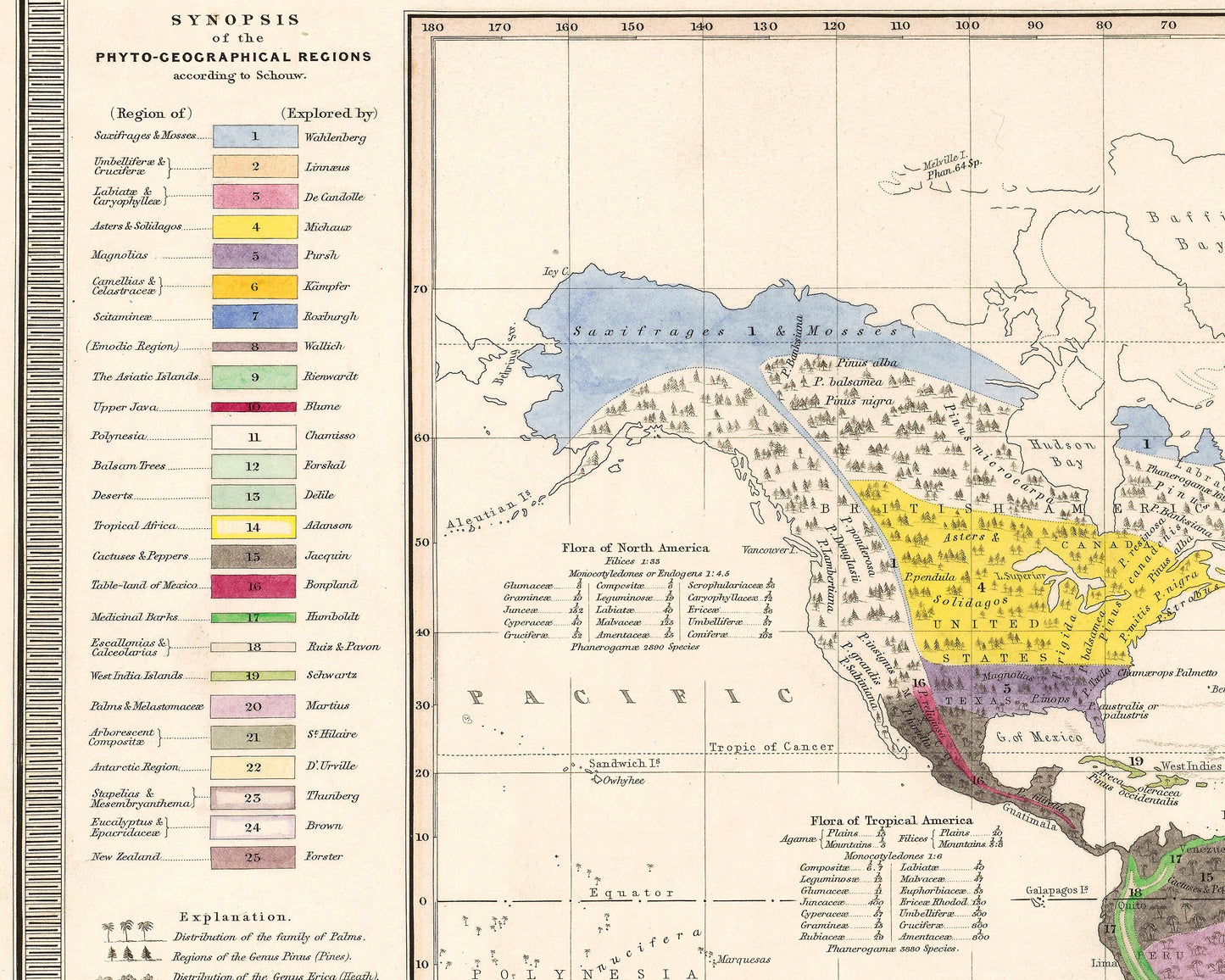 Outlines of BOTANICAL GEOGRAPHY Map by Alexander von Humboldt 1848