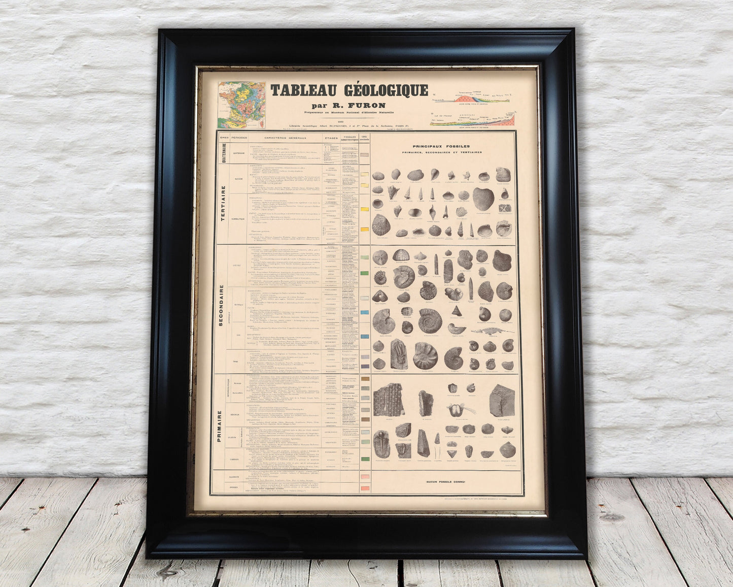 RARE GEOLOGICAL map Tableau Geologique by Raymond Furon 1922 - Exceptional quality 230gsm - Framed, Unframed - FREE standard delivery