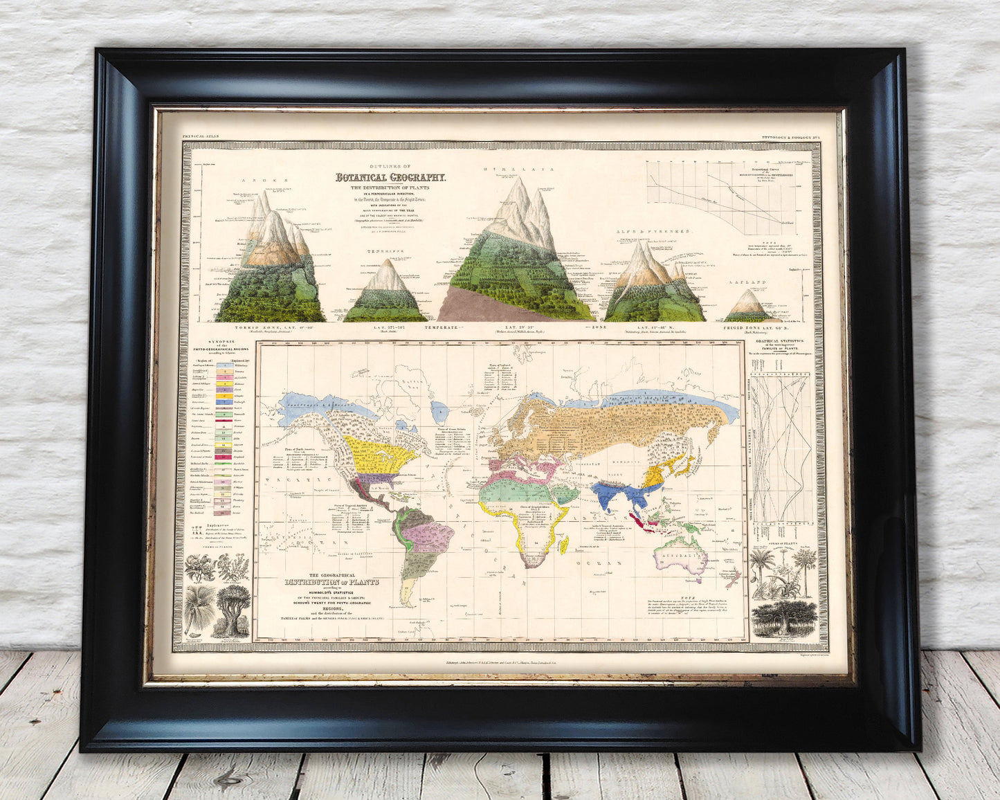 Outlines of BOTANICAL GEOGRAPHY Map by Alexander von Humboldt 1848