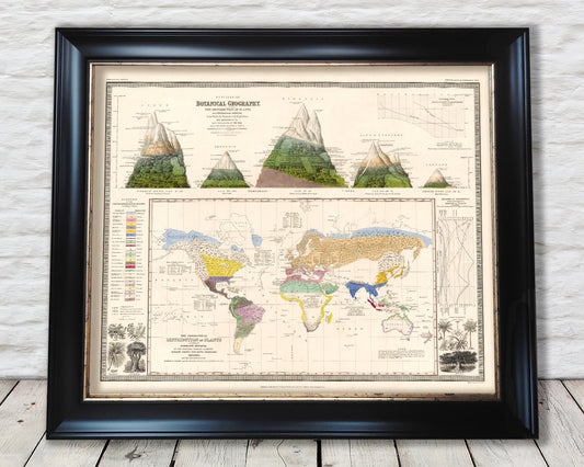 Outlines of BOTANICAL GEOGRAPHY Map by Alexander von Humboldt 1848