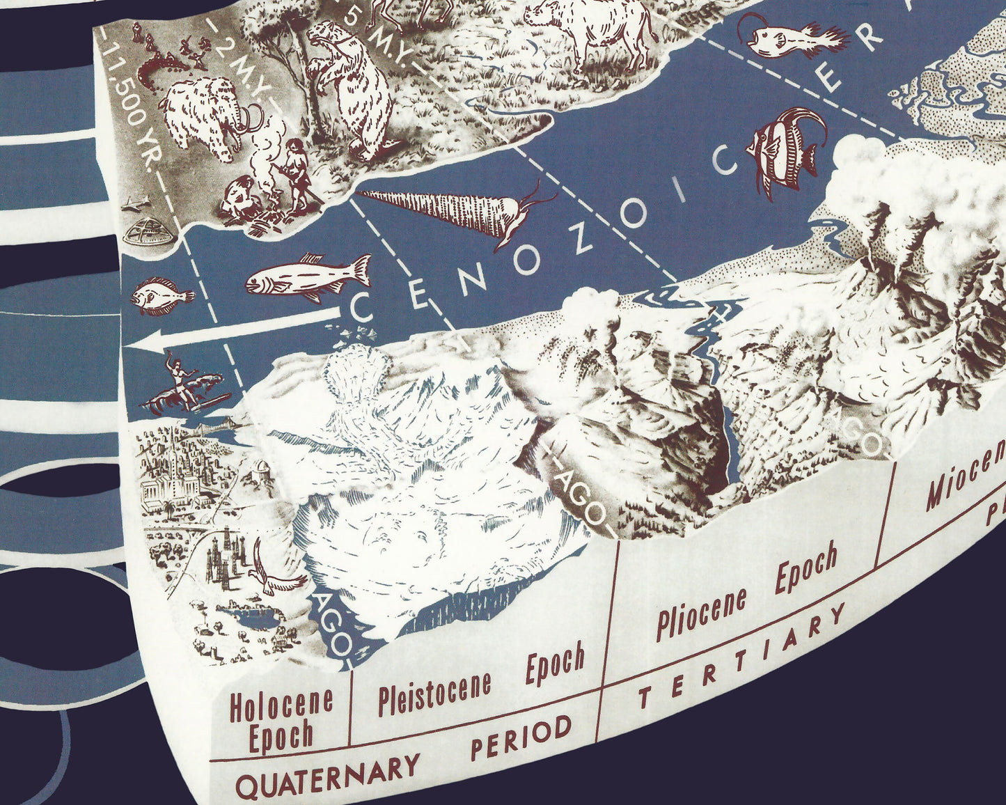 Superb GEOLOGIC Time Spiral Print - Evolutionary Scientific Timeline