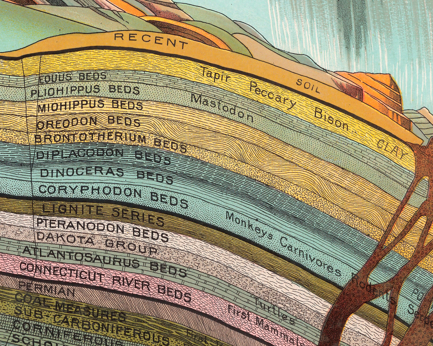 Superb GEOLOGICAL Chart by Yevi Yaggy 1893 - Strata Triassic Jurassic Rocks