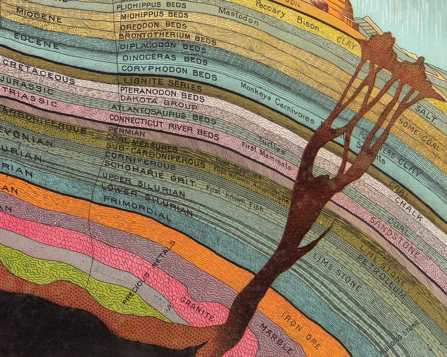 Superb GEOLOGICAL Chart by Yevi Yaggy 1893 - Strata Triassic Jurassic Rocks