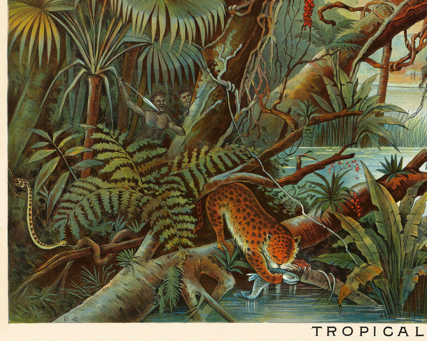 Charming TROPICAL Zone scene by Yevi Yaggy 1893 - Jungle flora and fauna