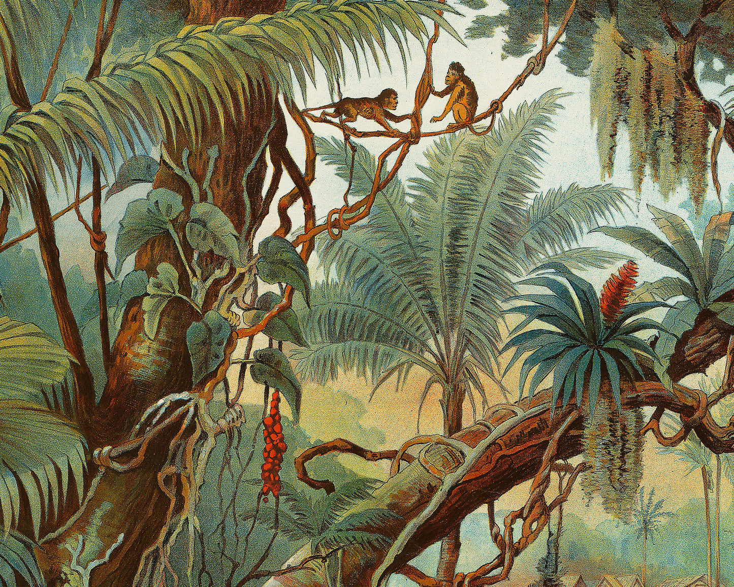 Charming TROPICAL Zone scene by Yevi Yaggy 1893 - Jungle flora and fauna