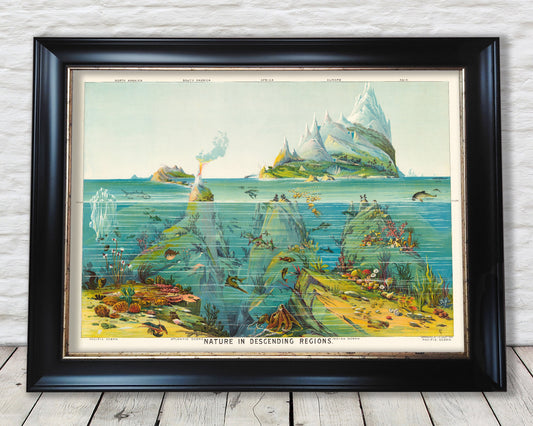 Nature in Descending Regions by Yevi Yaggy 1893 - Ocean and sea creatures
