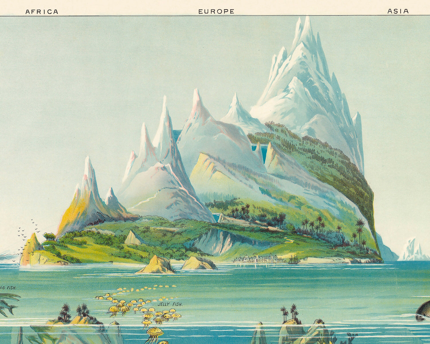 Nature in Descending Regions by Yevi Yaggy 1893 - Ocean and sea creatures