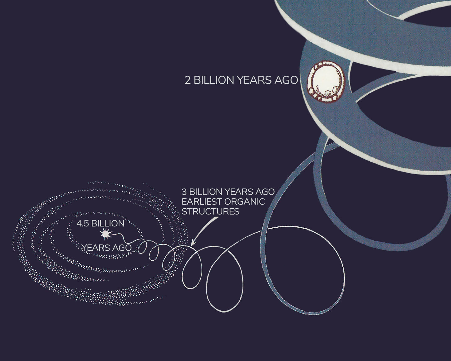 Superb GEOLOGIC Time Spiral Print - Evolutionary Scientific Timeline