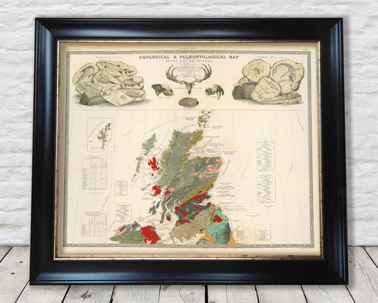 SCOTTISH GEOLOGY & Palaeontology Map W and A Johnston Fossils Dinosaurs