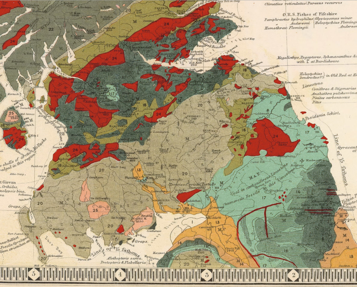 SCOTTISH GEOLOGY & Palaeontology Map W and A Johnston Fossils Dinosaurs