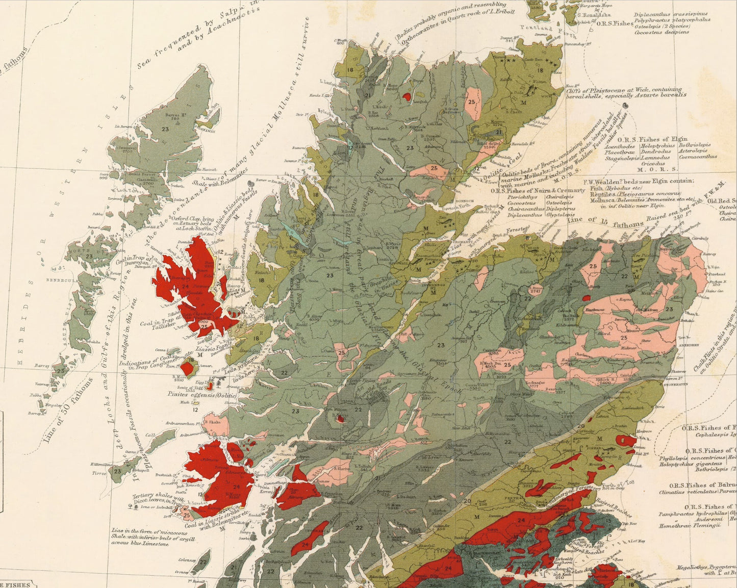 SCOTTISH GEOLOGY & Palaeontology Map W and A Johnston Fossils Dinosaurs