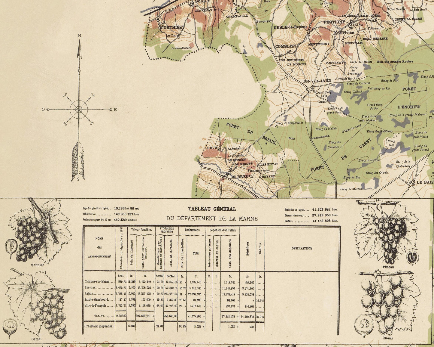 Old CHAMPAGNE Map 1882, wine map, vinicole and winemaking